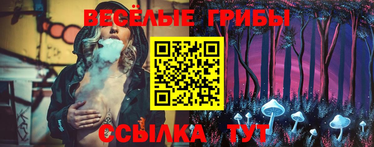 Галлюциногенные грибы Psilocybine cubensis  Вход с VPN  Зерноград 
